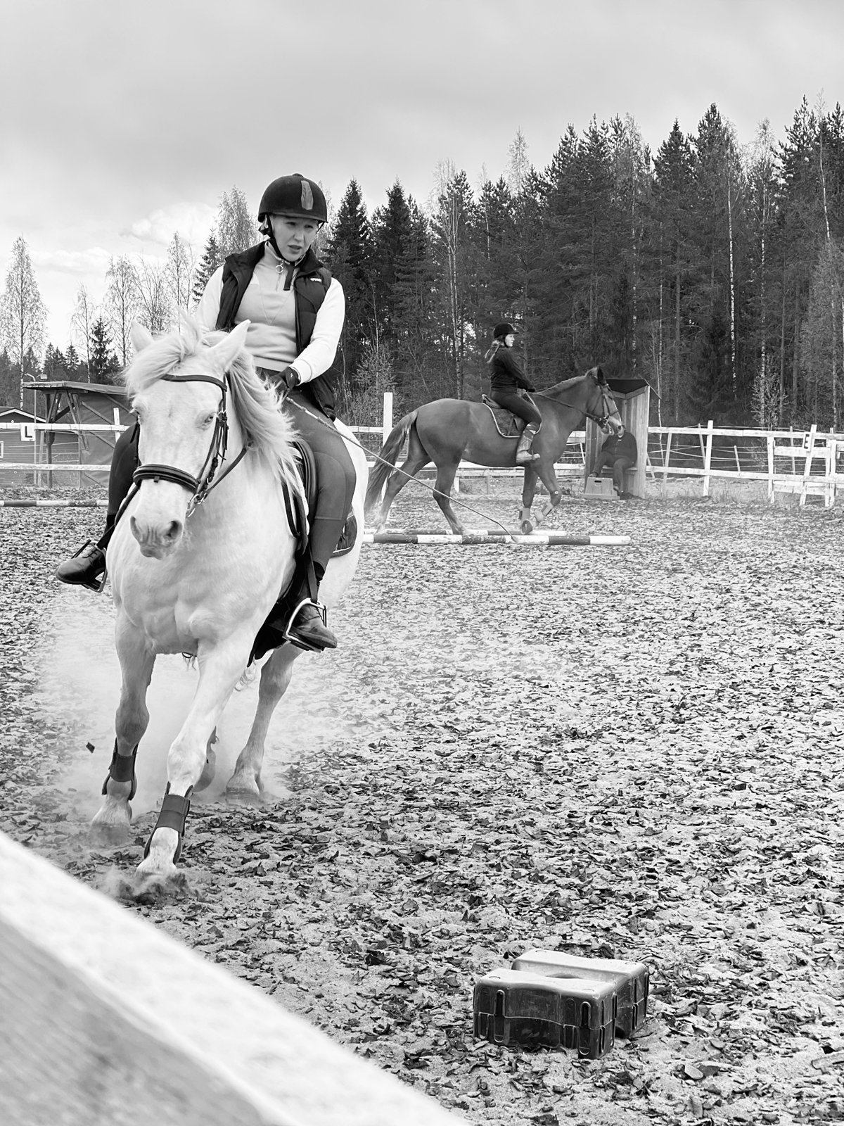 Katariina ratsastaa valkoisella hevosella kentällä